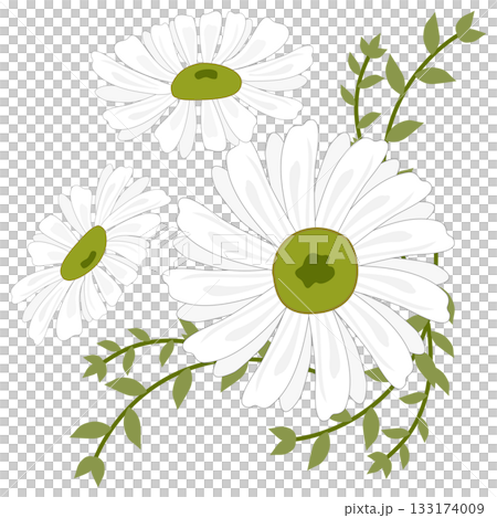 White Daisy and Green Vine Corner Floral Arrangement 133174009