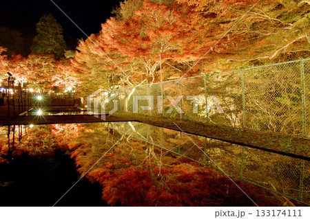 岩屋堂公園の紅葉ライトアップ　水面に映る幻想的な秋の景色 133174111