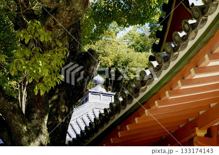 瀧谷不動尊　法楽殿の軒越しに奥の屋根の宝珠が見える風景　大阪府富田林市 133174143