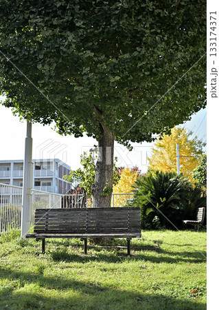 団地の公園ベンチのある風景 133174371