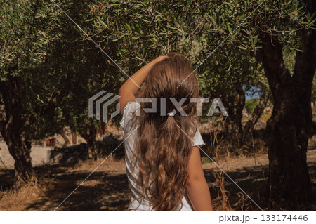 Curious girl looking at ripening olives on the branch of an old tree 133174446