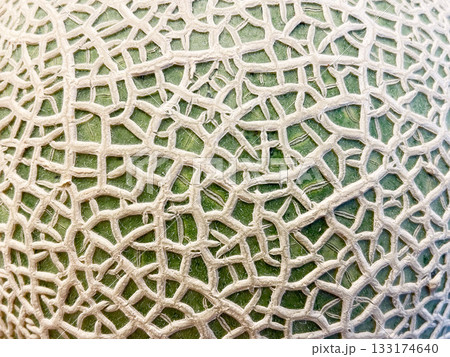 マスクメロンの網目 マスクメロンの網目 133174640