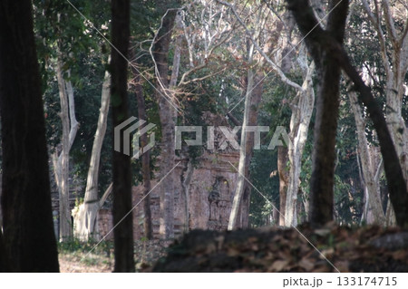 サンボー・プレイ・クックの祠 サンボー・プレイ・クックの祠 133174715