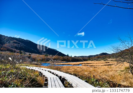 秋の湿原と木道 秋の湿原と木道 133174779