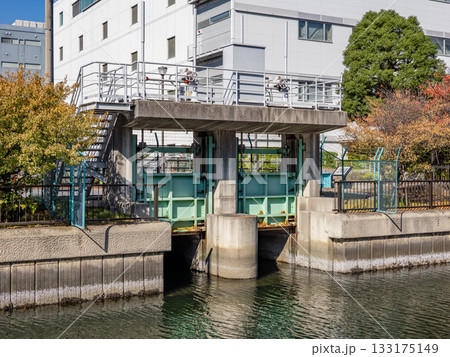大島川西支川から見た「中の堀川樋門」（東京都江東区） 133175149