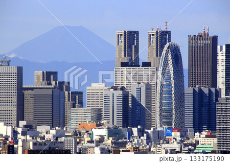 夏晴れ：新宿副都心の高層ビル群と富士山 133175190