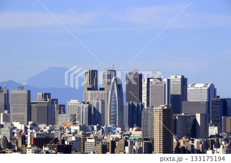 夏晴れ：新宿副都心の高層ビル群と富士山 133175194