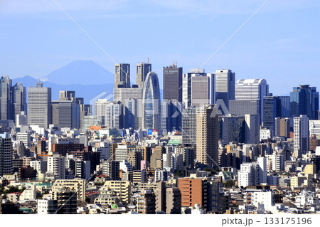 夏晴れ：新宿副都心の高層ビル群と富士山 133175196