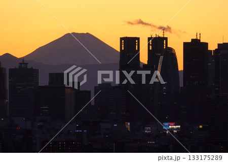 冬晴れ：夕日の新宿高層ビル群と富士山 133175289