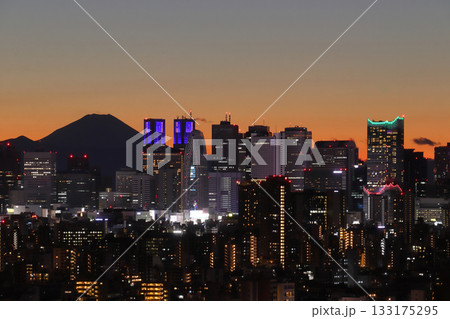 冬晴れ:夕日の新宿高層ビル群と富士山 冬晴れ:夕日の新宿高層ビル群と富士山 133175295