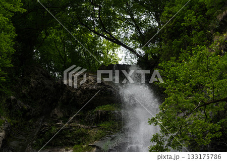 A small waterfall in the forest in the mountains of Georgia A small waterfall in the forest in the mountains of Georgia 133175786