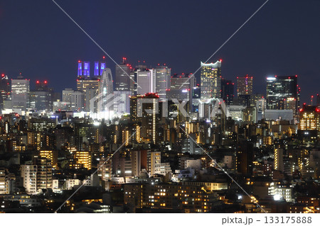 冬晴れ：落日の新宿高層ビル群と富士山 133175888