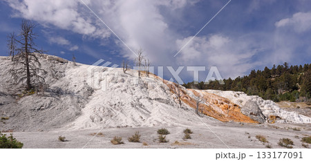 Mammoth hot springs in Yellowstone National Park, Wyoming 133177091