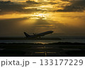 木漏れ日の中の離陸(那覇空港) 木漏れ日の中の離陸(那覇空港) 133177229