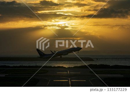 木漏れ日の中の離陸（那覇空港） 133177229