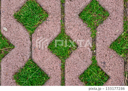 Walkway features patterned tiles and green grass sections 133177286