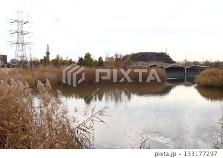 秋のイイナパーク川口より望む川口市めぐりの森(火葬場) 秋のイイナパーク川口より望む川口市めぐりの森(火葬場) 133177297