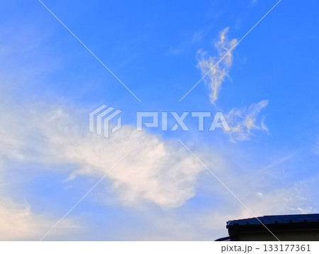 雲の手紙が届いた朝 133177361