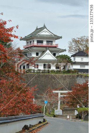 秋の涌谷城 133177436