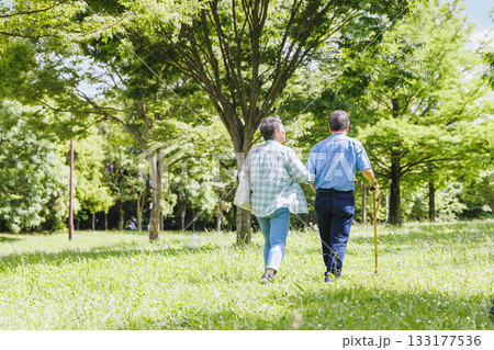 新緑のなかを散歩するシニア夫婦 133177536