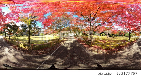 紅葉の香林寺 VR写真 紅葉の香林寺 VR写真 133177767