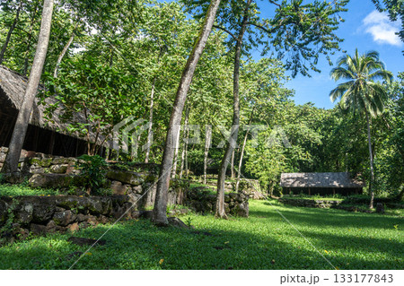 Thatched-roof building at Kamuihei archaeological site, Nuku Hiva, Marquesas Islands. French Polynesia 133177843