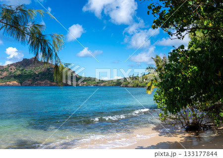 Anaho Bay and beach with palm trees, Nuku Hiva, French Polynesia 133177844