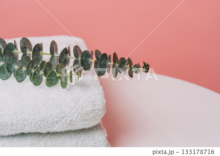 Green eucalyptus branch resting on soft white towels Green eucalyptus branch resting on soft white towels 133178716