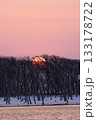 北海道の野付半島の立ち枯れのナラワラの向こうに沈む夕陽 133178722