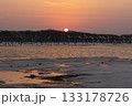 北海道の野付半島の立ち枯れのナラワラの向こうに沈む夕陽 133178726