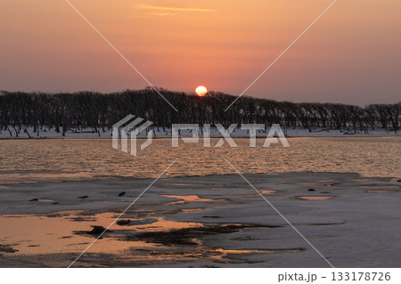 北海道の野付半島の立ち枯れのナラワラの向こうに沈む夕陽 133178726
