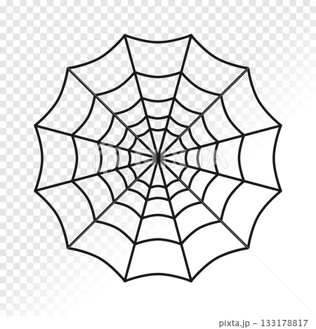 Spider web symbol isolated on transparent background. Vector illustration Spider web symbol isolated on transparent background. Vector illustration 133178817
