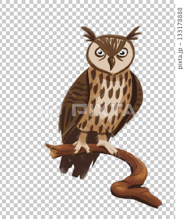 A digital PNG image featuring Halloween, Magic, and Day of the Dead. owl on a branch A digital PNG image featuring Halloween, Magic, and Day of the Dead. owl on a branch 133178888