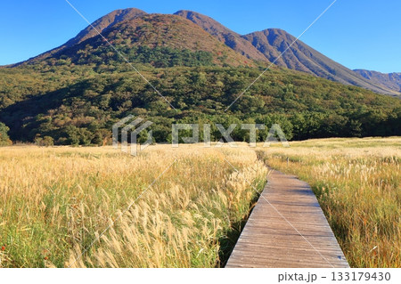 【大分県】長者原園地から見たタデ原湿原と九重連山の紅葉 133179430