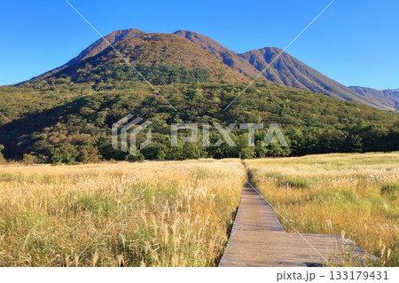 【大分県】長者原園地から見たタデ原湿原と九重連山の紅葉 133179431