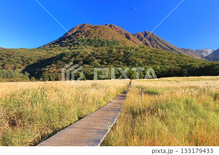 【大分県】長者原園地から見たタデ原湿原と九重連山の紅葉 133179433