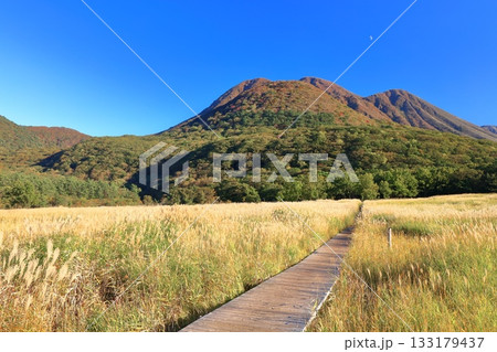 【大分県】長者原園地から見たタデ原湿原と九重連山の紅葉 【大分県】長者原園地から見たタデ原湿原と九重連山の紅葉 133179437