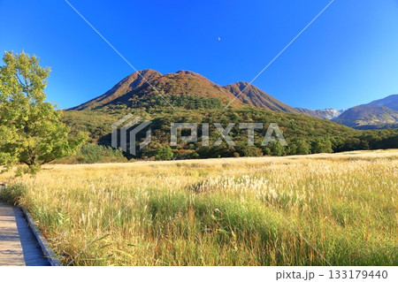 【大分県】長者原園地から見たタデ原湿原と九重連山の紅葉 133179440