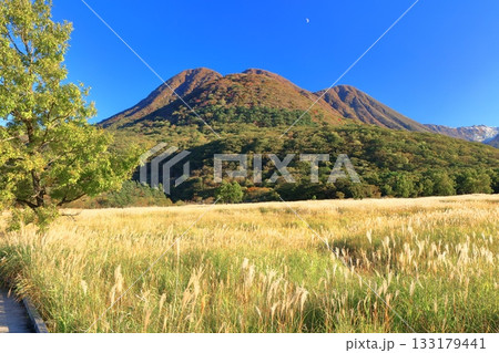 【大分県】長者原園地から見たタデ原湿原と九重連山の紅葉 【大分県】長者原園地から見たタデ原湿原と九重連山の紅葉 133179441