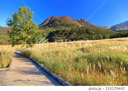 【大分県】長者原園地から見たタデ原湿原と九重連山の紅葉 133179442