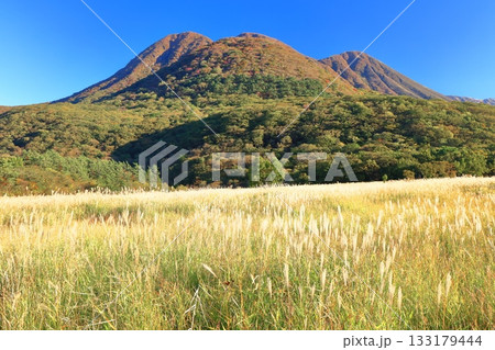 【大分県】長者原園地から見たタデ原湿原と九重連山の紅葉 133179444