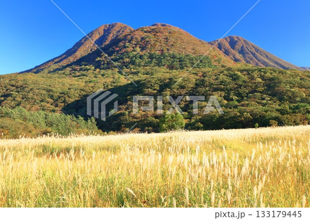 【大分県】長者原園地から見たタデ原湿原と九重連山の紅葉 133179445
