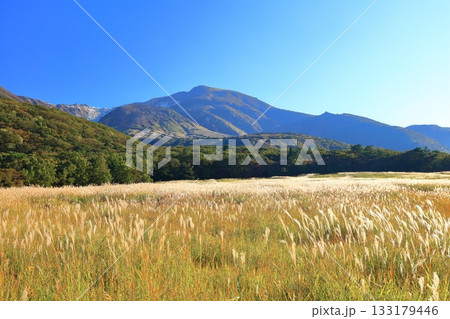 【大分県】長者原園地から見たタデ原湿原と九重連山の紅葉 133179446