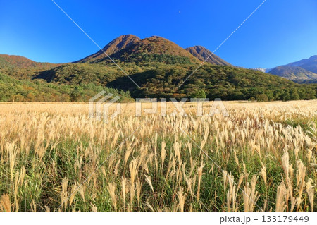 【大分県】長者原園地から見たタデ原湿原と九重連山の紅葉 133179449