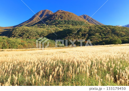 【大分県】長者原園地から見たタデ原湿原と九重連山の紅葉 133179450