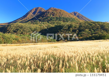 【大分県】長者原園地から見たタデ原湿原と九重連山の紅葉 133179451
