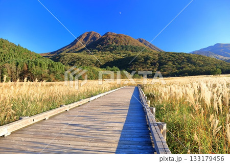 【大分県】長者原園地から見たタデ原湿原と九重連山の紅葉 133179456