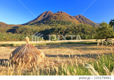 【大分県】長者原園地から見たタデ原湿原と九重連山の紅葉 133179461
