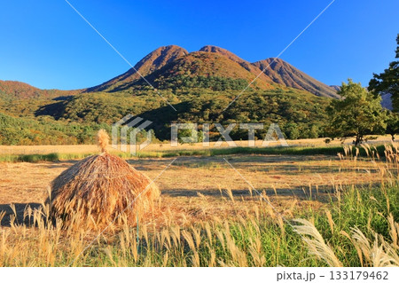【大分県】長者原園地から見たタデ原湿原と九重連山の紅葉 133179462