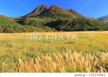 【大分県】長者原園地から見たタデ原湿原と九重連山の紅葉 【大分県】長者原園地から見たタデ原湿原と九重連山の紅葉 133179463